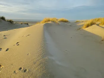 Oostnieuwkerke duinen wandeling in de koude (België)